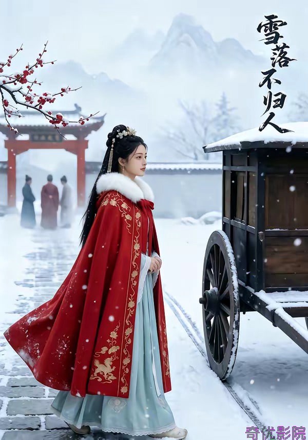 雪落不归人