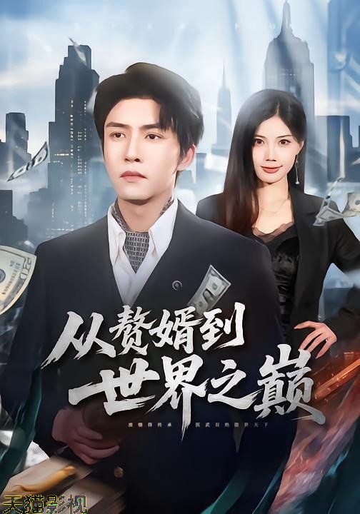 赘婿到世界之巅